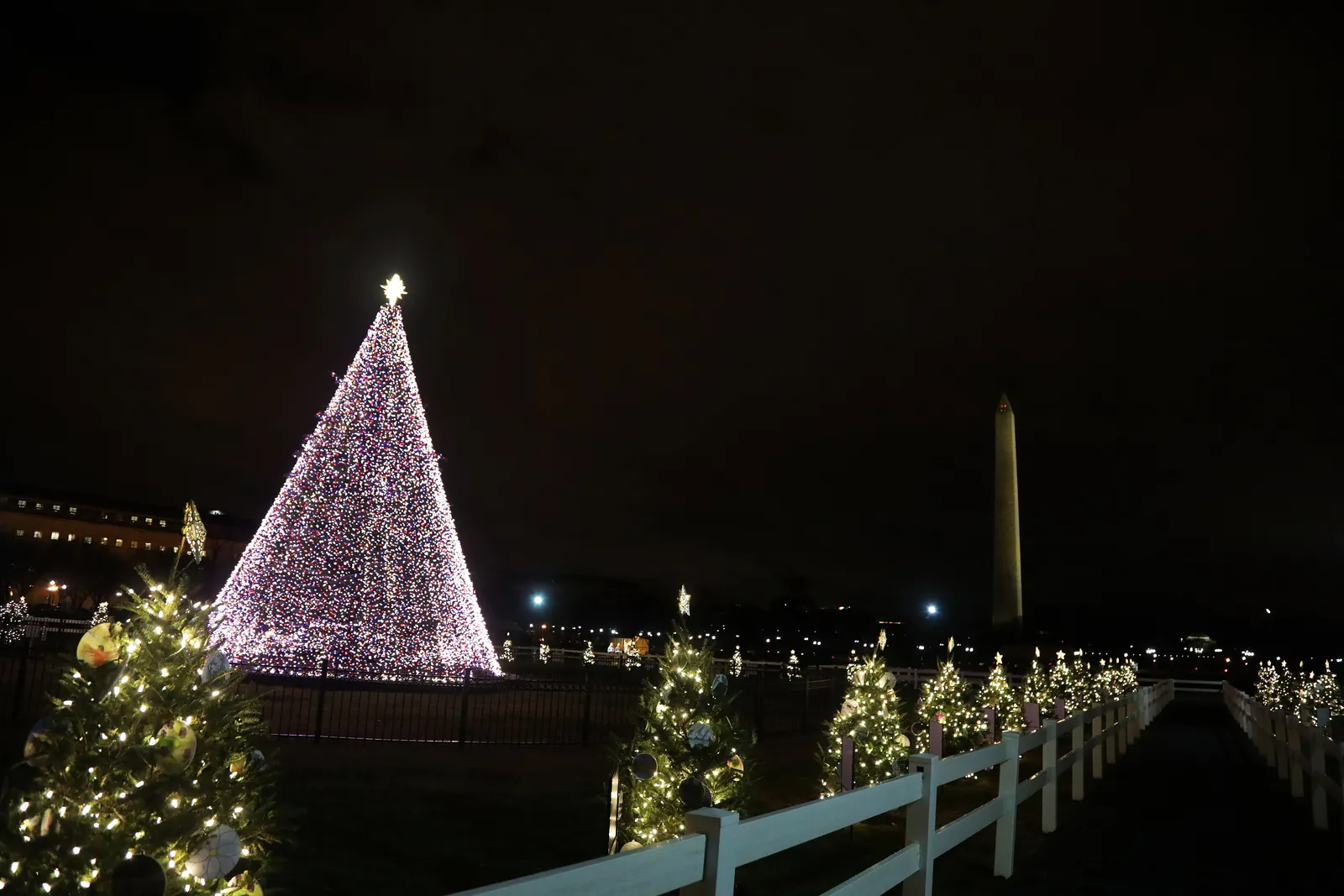 The lit National Christmas Tree on the Ellipse at night, the floodlit Washington Monument behind it and a ring of smaller state trees glowing, in Washington, D.C.